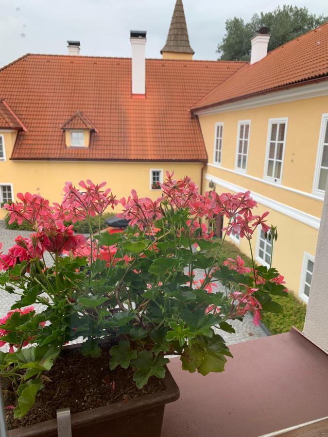 Готель Zamek Jindrichovice Kolinec Екстер'єр фото